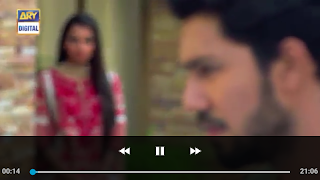 ARY DIGITAL imagem de tela 6