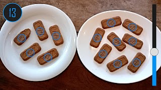 Object Counter By Camera تصوير الشاشة 5