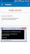 Learn Java Programming скриншот 6