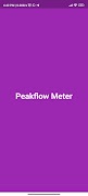 Peakflow Meter скриншот 4