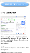 SEO Tutorial & Techniques 截圖 3