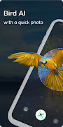Bird Detect পোস্টার