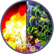 رواية مسير الارواح في البرزخ screenshot 6