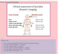 Neonatal Points syot layar 4