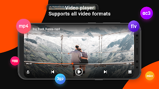 Video Player imagem de tela 4