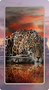 Leopard Wallpaper capture d'écran 1