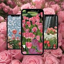 Flower Pink Wallpaper World HD APK