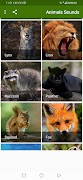 Animals Sounds スクリーンショット 3