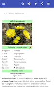 Medicinal herbs screenshot 6