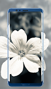 White Wallpapers скриншот 1