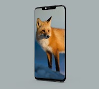 Fox Wallpapers स्क्रीनशॉट 7