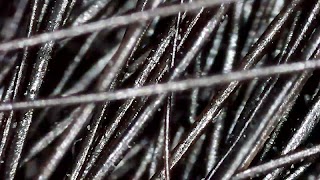 برنامه‌نما Micro Find New عکس از صفحه