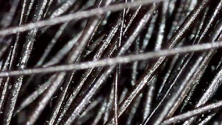 برنامه‌نما Micro Find New عکس از صفحه