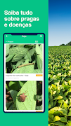 AgroApp: O Super App do Agro poster