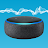 Alex Ai Voice Command Echo Dot APK