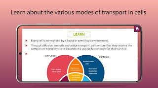 Diffusion and Osmosis Ekran Görüntüsü 1