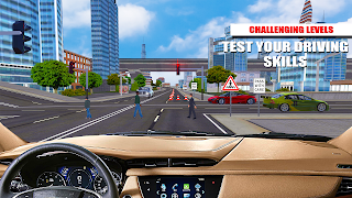 Driving School Car Simulator screenshot 5