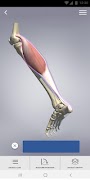 3D Spasticity screenshot 2