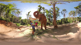 VeeR VR - 沉浸版 截图 1