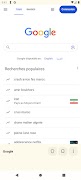 Bon Browser 포스터
