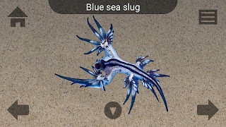 Marine Life syot layar 3