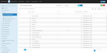4 Schermata Expert Query