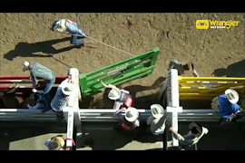 Wrangler Network ภาพหน้าจอ 2