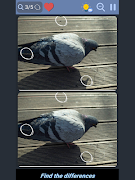 Differences - Find them screenshot 7