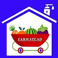 Farm Stead