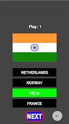 Flag Game ภาพหน้าจอ 4