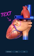 Heart Anatomy Pro. screenshot 6