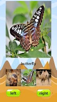 Animal Games for Kids! syot layar 2