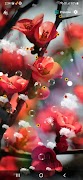 Cherry Blossom Wallpaper الملصق