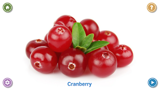 100 Fruits and Vegetables for  截圖 4