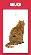 Brush The Cat - Combing Fast screenshot 1
