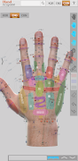 Hand Acupoint syot layar 2