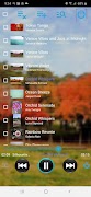 সঙ্গীত প্লেয়ার: Folder Music+ স্ক্রিনশট 4