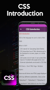 CSS Learn imagem de tela 2