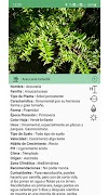 Plantsss Ekran Görüntüsü 4