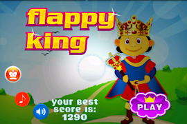 King jump Fly ภาพหน้าจอ 4