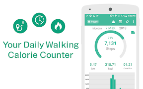 Pedometer - Step Counter Maipo poster