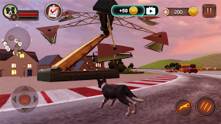 Border Collie Simulator screenshot 7