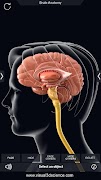 Brain Anatomy Pro. syot layar 2