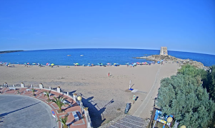 Beach Live Cams screenshot 5