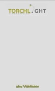 پوستر Torch Light