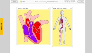 Circulation 스크린샷 1