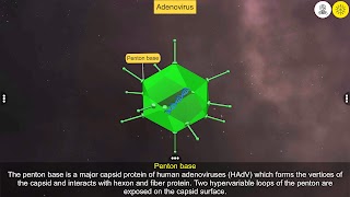 Learn Viruses スクリーンショット 4
