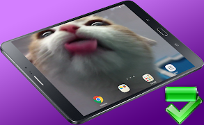 Cat Lick Screen Live Wallpaper ภาพหน้าจอ 6