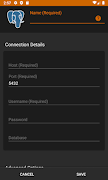 Postgres Client تصوير الشاشة 1
