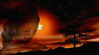 Sunset Backgrounds HD Screenshot 7